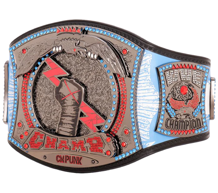 CM Punk 434-Day WWE Championship Belt - Image 3