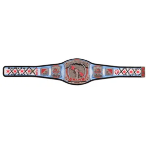 CM Punk WWE Autographed 434 Days As Champion Signature Series Replica Title Belt