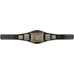 CM Punk WWE Autographed Spinner Replica Belt